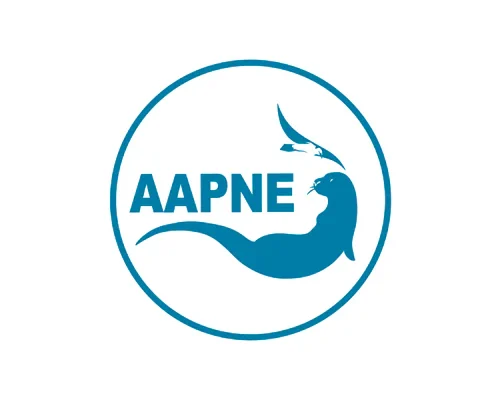 aapne